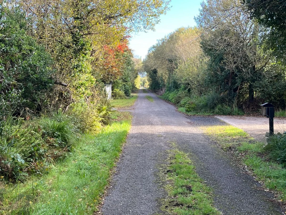 Kealduff Lower,Glenbeigh,Killarney,Co. Kerry, Glenbeigh, Co. Kerry - Image 4