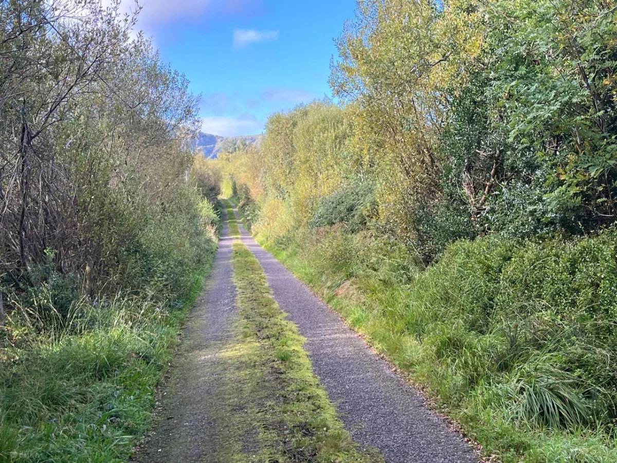 Kealduff Lower, Glenbeigh, Co. Kerry - Image 3