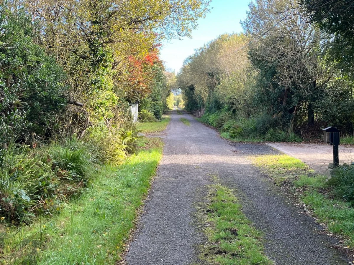 Kealduff Lower, Glenbeigh, Co. Kerry - Image 4
