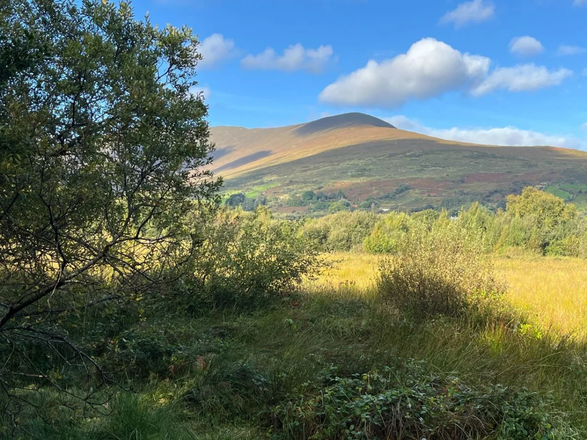 Kealduff Lower, Glenbeigh, Co. Kerry