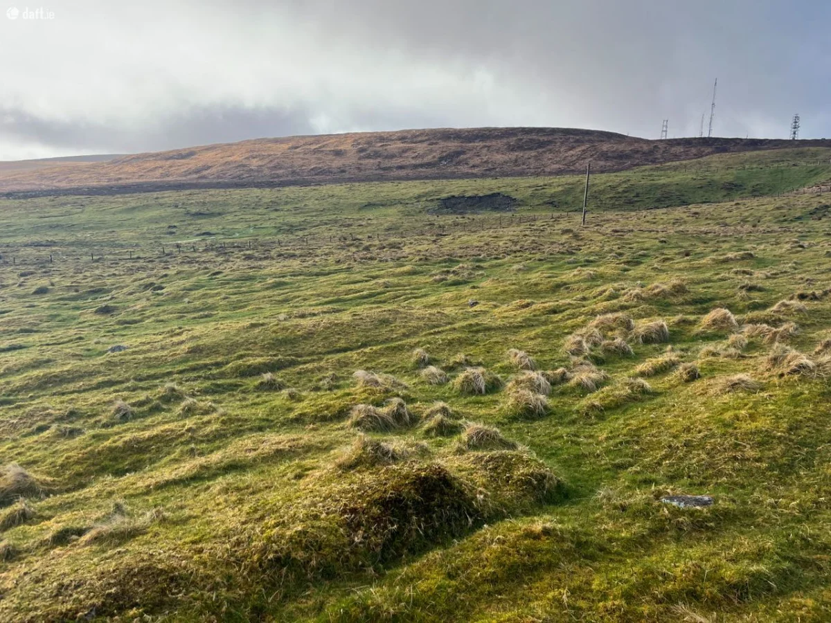Gransha Upper, Castlemaine, Co. Kerry - Image 9