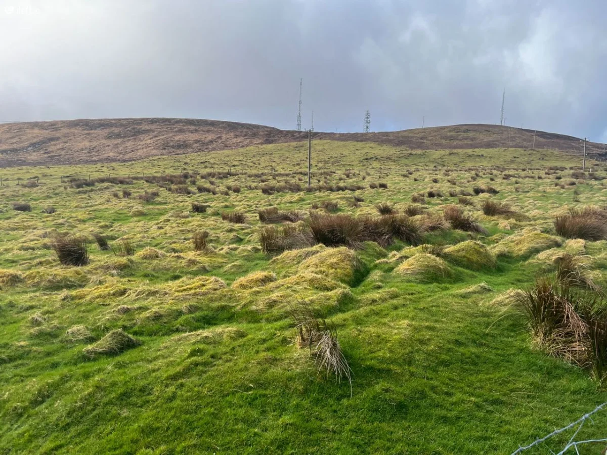 Gransha Upper, Castlemaine, Co. Kerry - Image 8