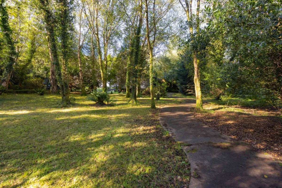5 Caragh Lake Cottages, Caragh Lake, Killorglin, Co. Kerry - Image 36