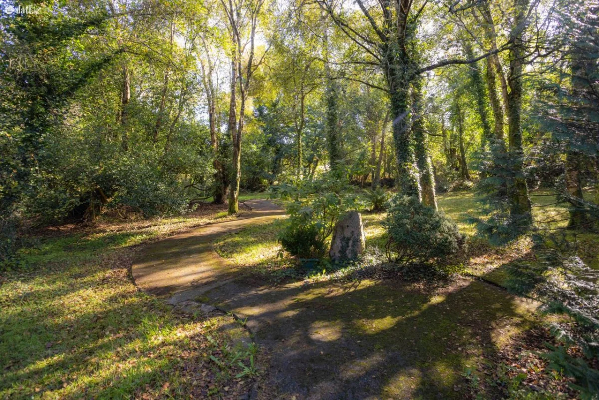 5 Caragh Lake Cottages, Caragh Lake, Killorglin, Co. Kerry - Image 37