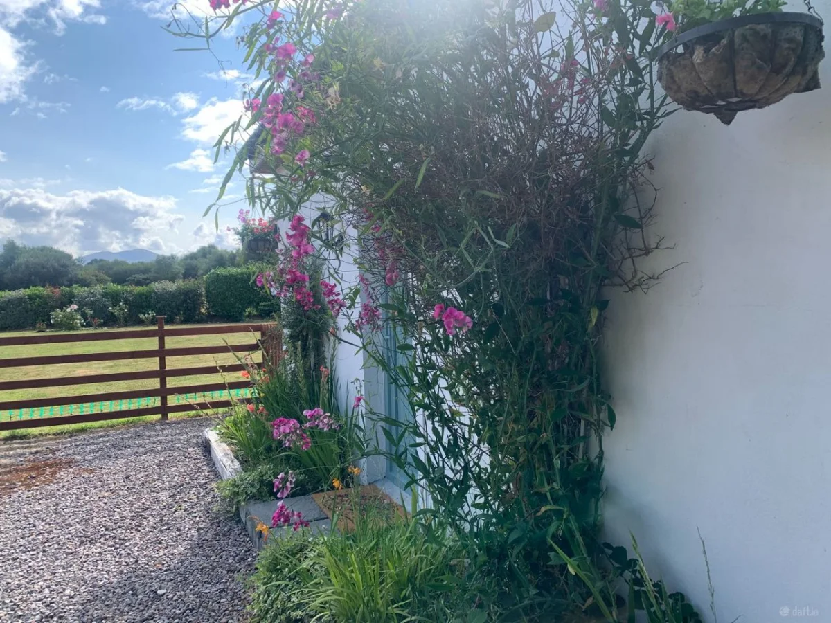 Rangue, Killorglin, Co. Kerry - Image 45