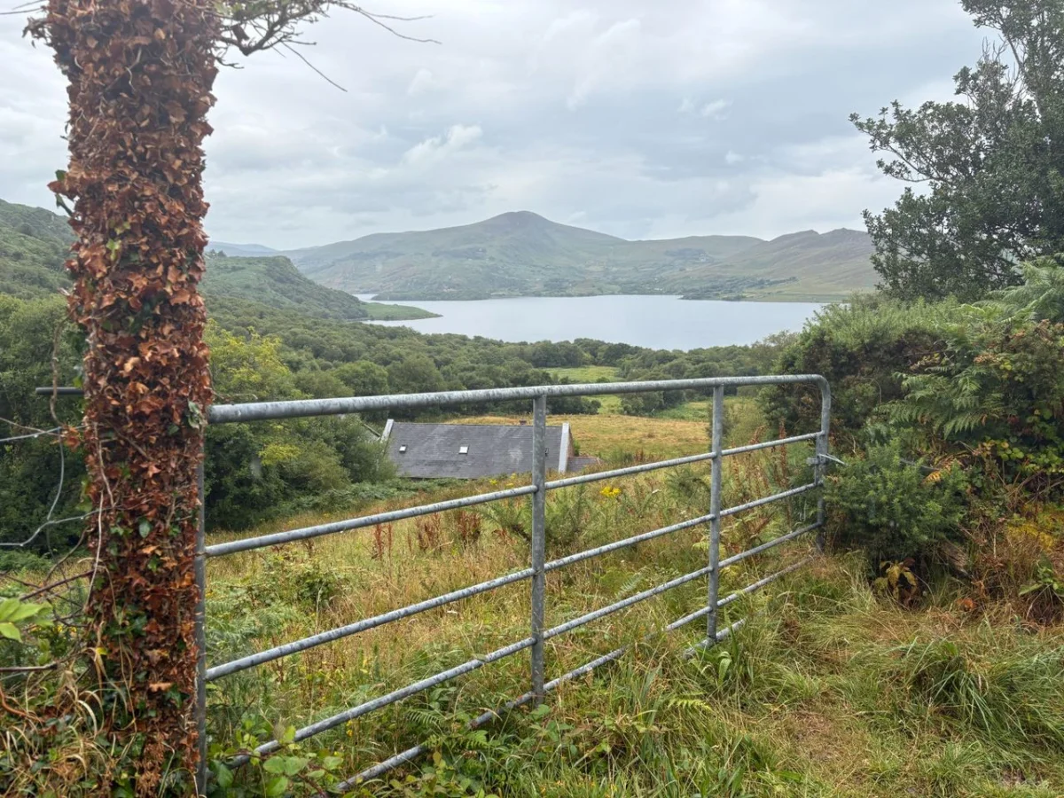 Oulagh East, Caragh Lake, Killorglin, Co. Kerry - Image 5