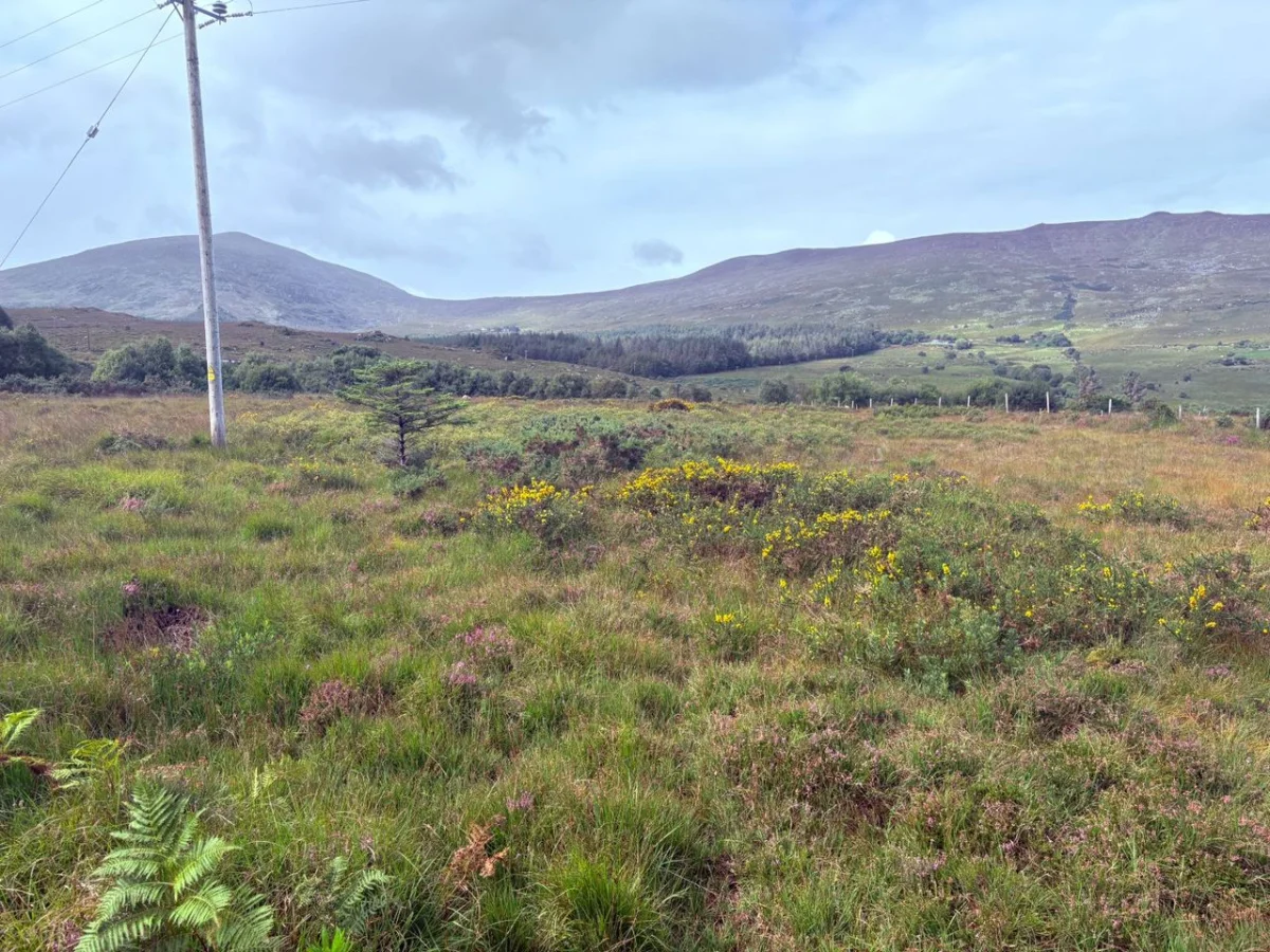 Dreenagh, Glencar, Co. Kerry