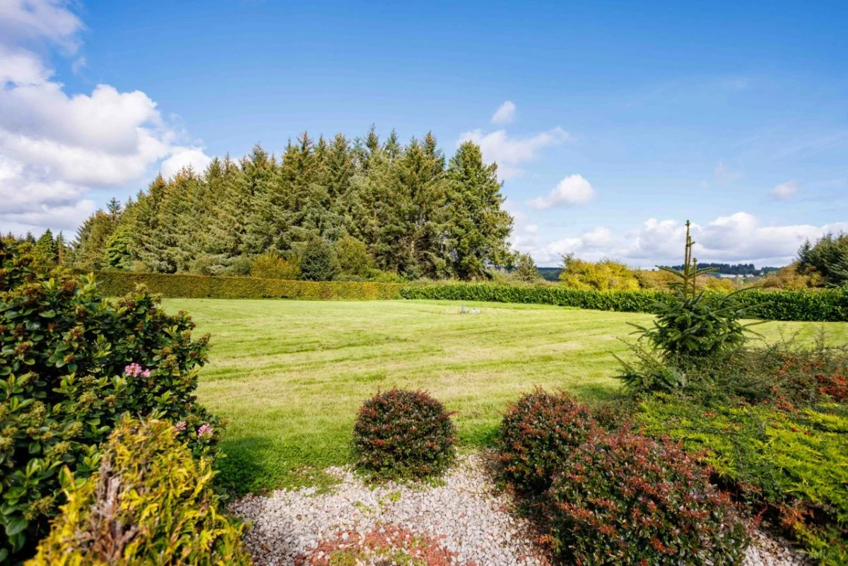 Knocknageeha, Gneeveguilla, Rathmore, Co. Kerry - Image 23